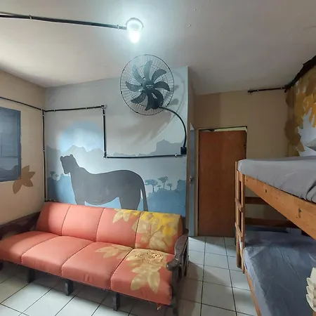 Hostel Pantanal Em Florianópolis-3